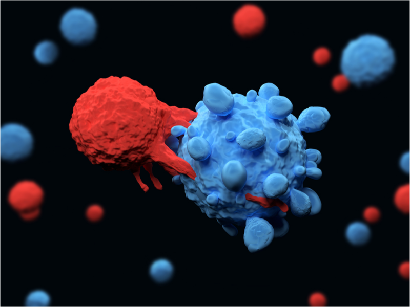 cart t-cell therapy