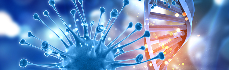 gene therapy for scid