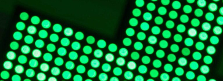 Pharmacovigilance And Medical Devices Vigilance